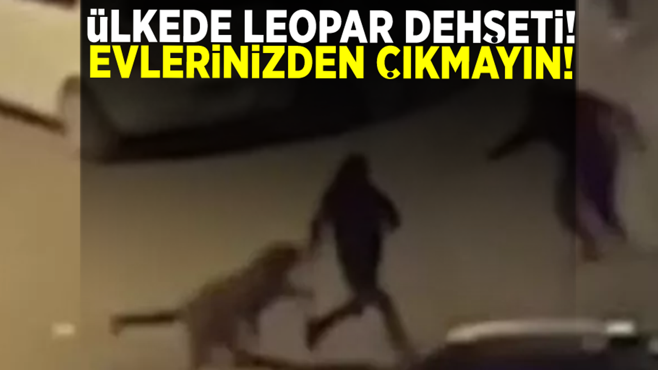 Leopar insanlara saldırdı, ülkede alarm verildi! 'Evlerinizden çıkmayın'