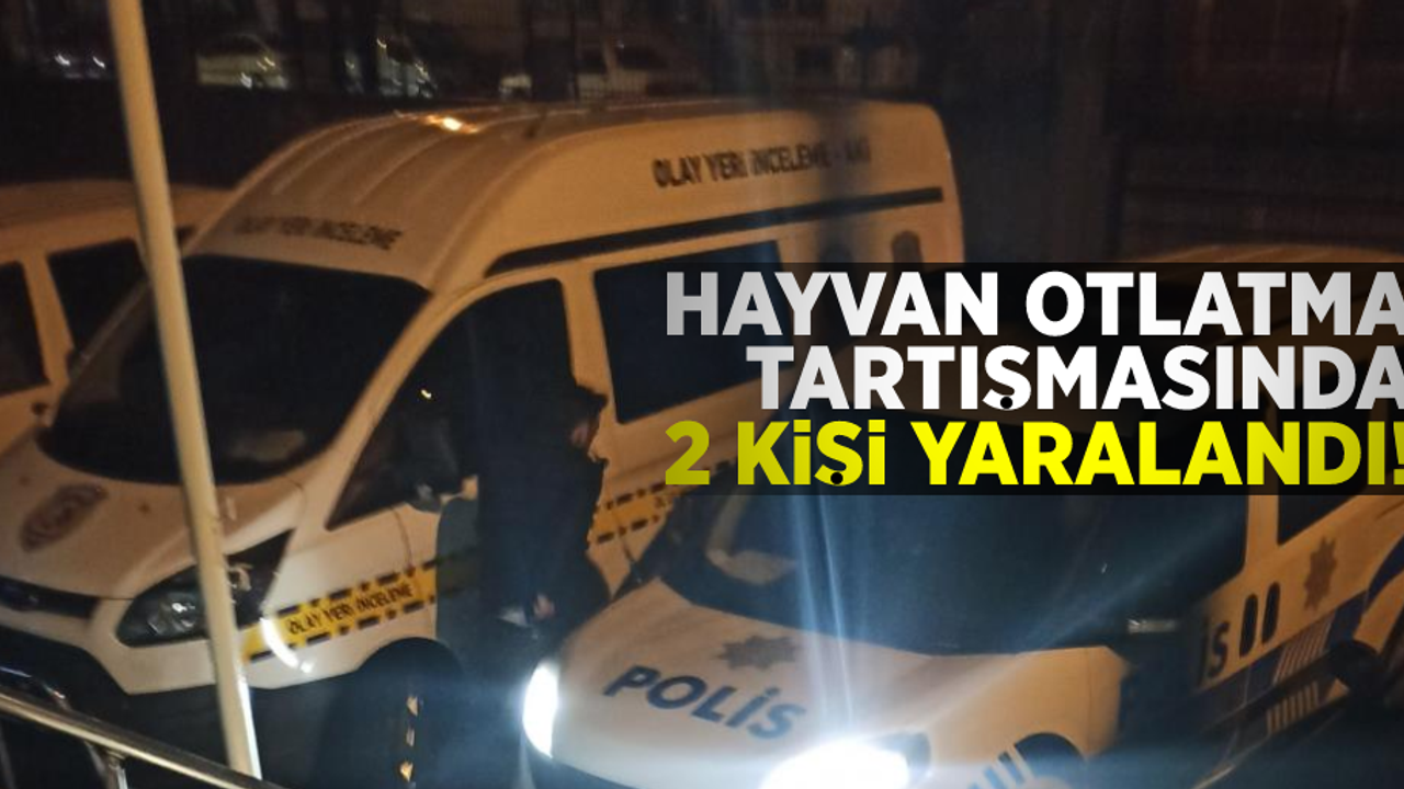 Samsun'da Hayvan Otlatma Tartışması Kanlı Bitti! 2 Yaralı