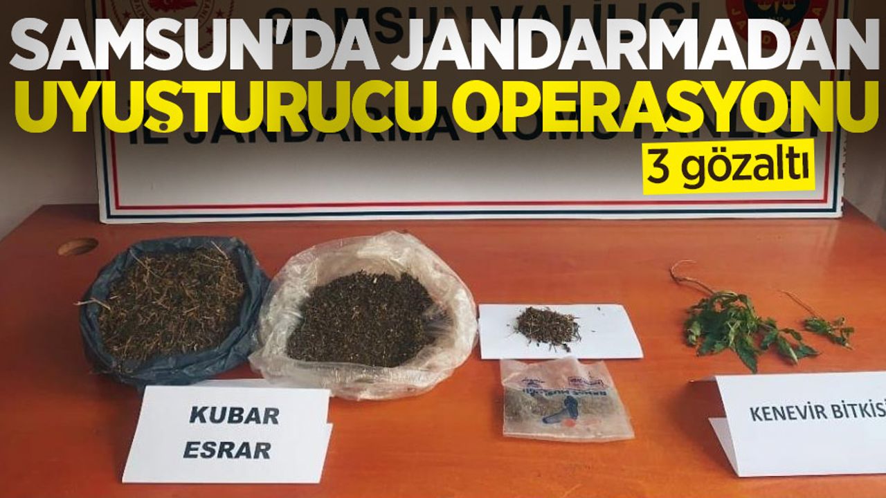 Samsun'da jandarmadan uyuşturucu operasyonu: 3 gözaltı