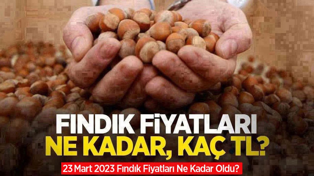 Fındık fiyatları ne kadar, kaç TL? 23 Mart Perşembe fındık fiyatları ne kadar oldu?