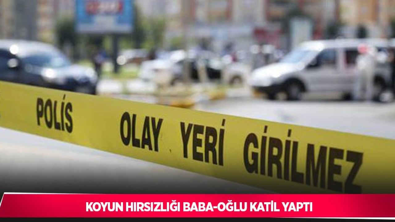 Koyun hırsızlığı baba-oğlu katil yaptı