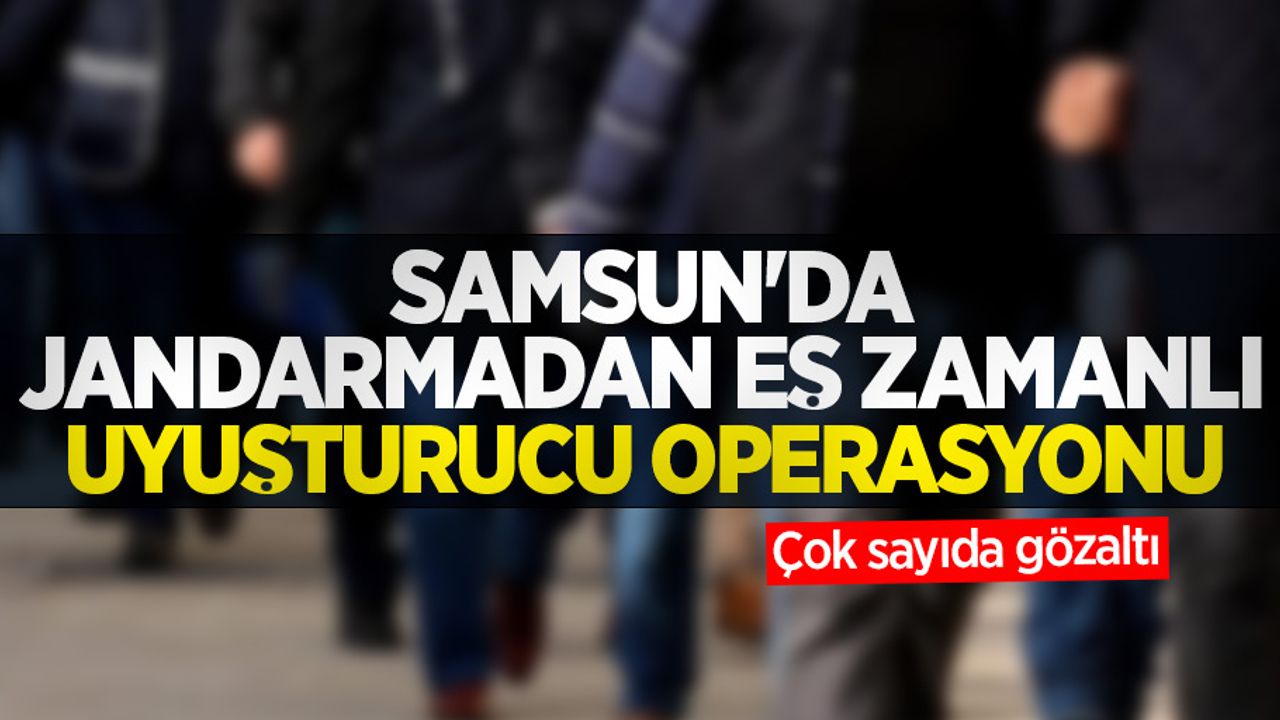 Samsun'da jandarmadan eş zamanlı uyuşturucu operasyonu: Çok sayıda gözaltı