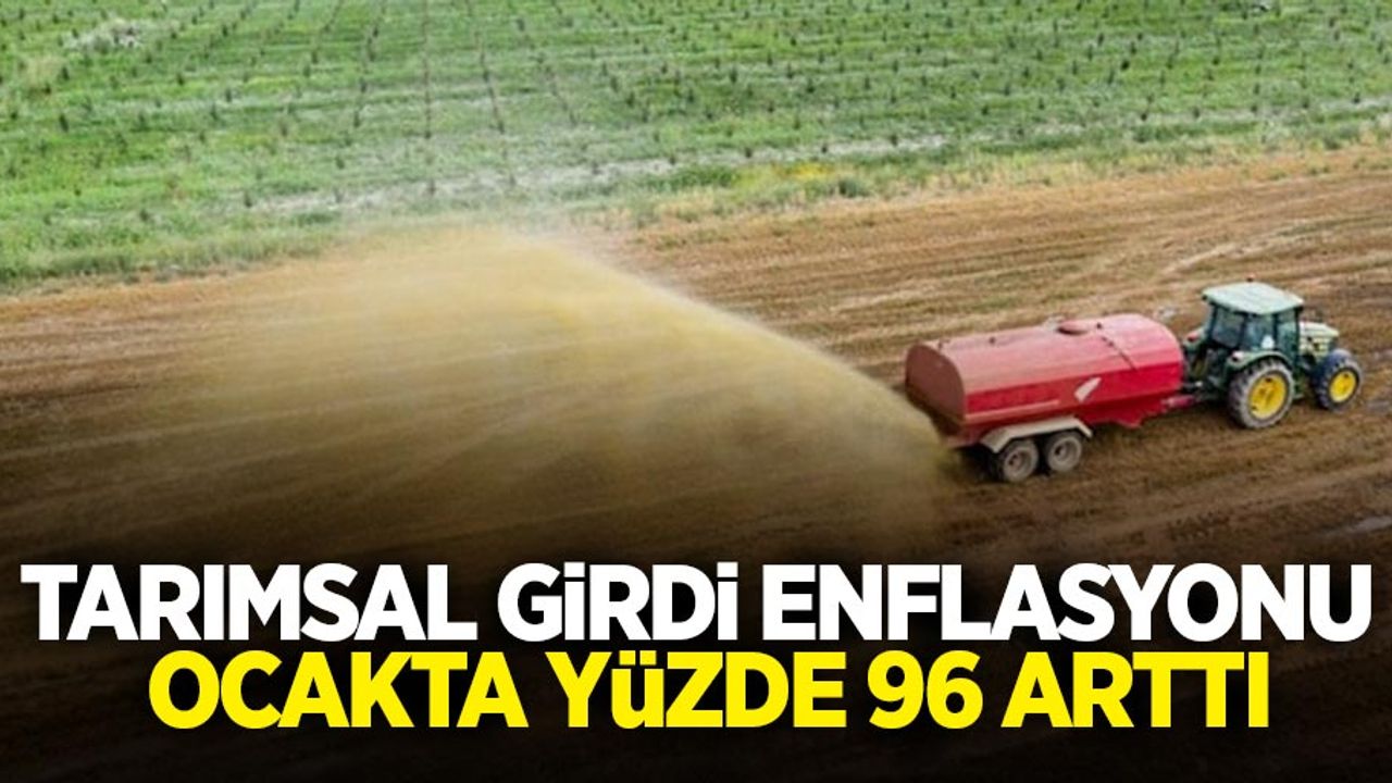 Tarımsal girdi enflasyonu ocakta yüzde 96 arttı