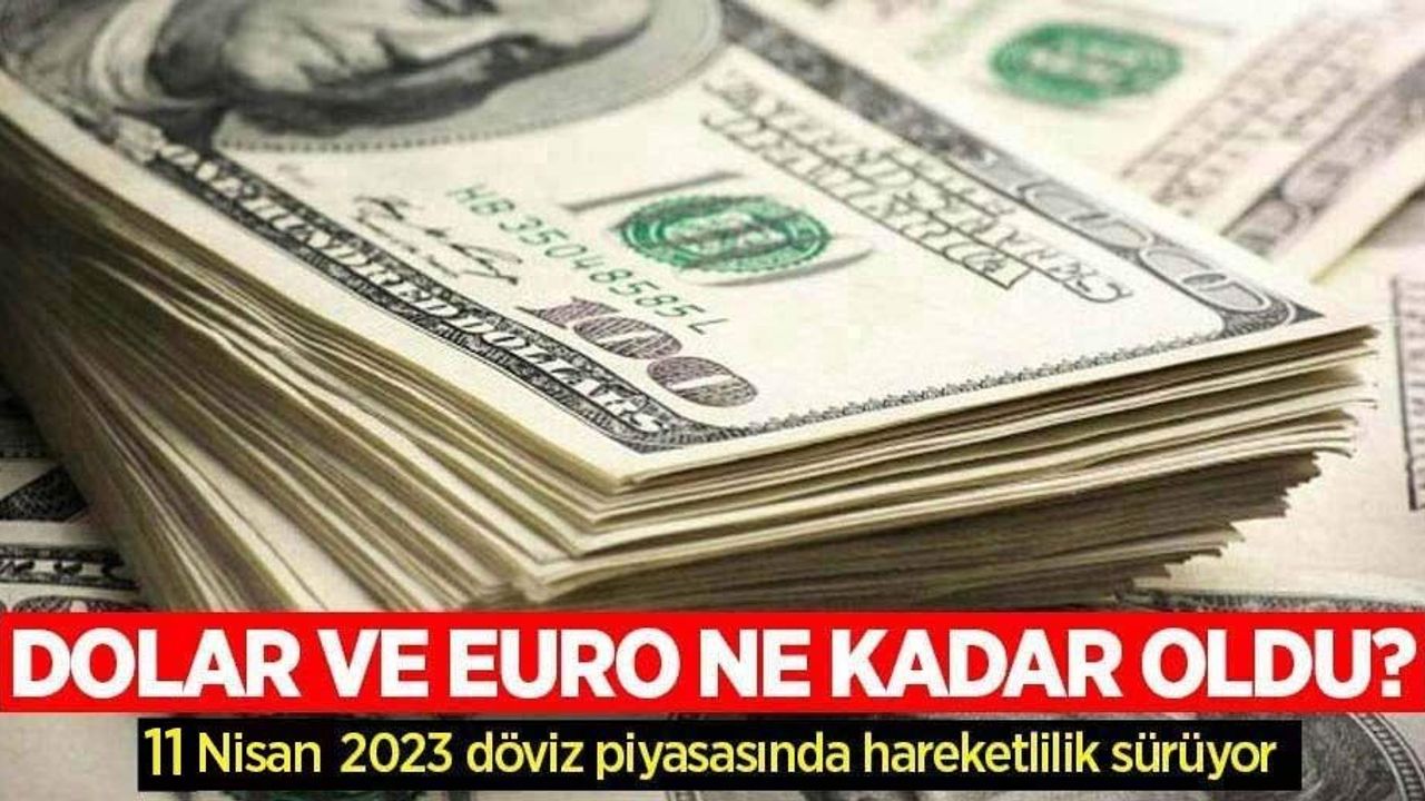 11 Nisan Salı dolar ne kadar oldu, euro ne kadar? 11 Nisan Salı  2023 dolar kaç TL, euro kaç TL?