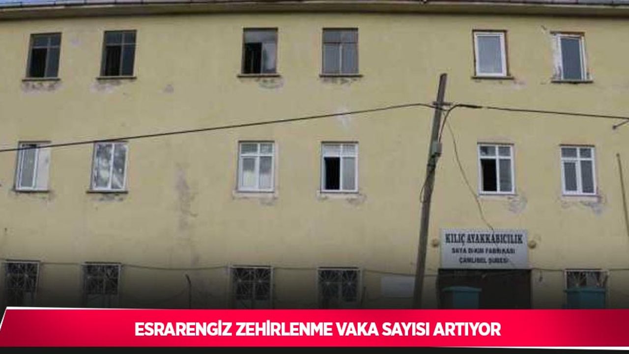 Esrarengiz zehirlenme vaka sayısı artıyor