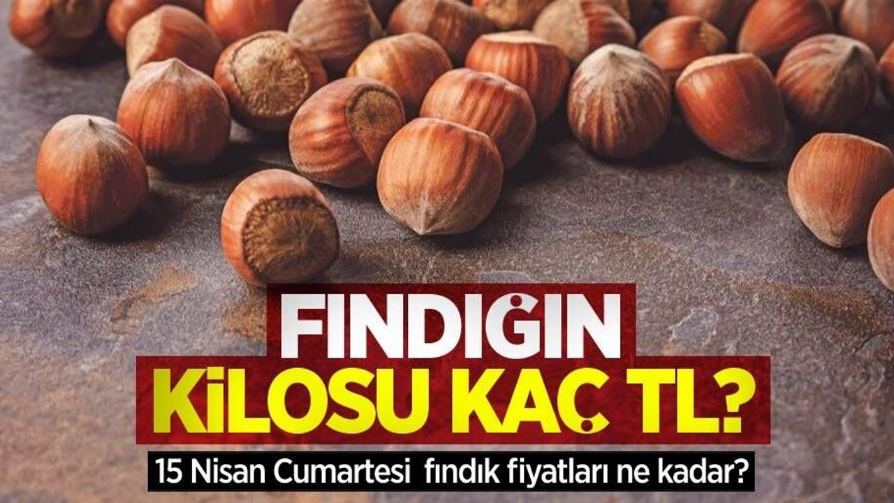 Fındığın kilosu kaç TL? 15 Nisan Cumartesi fındık fiyatları ne kadar oldu?