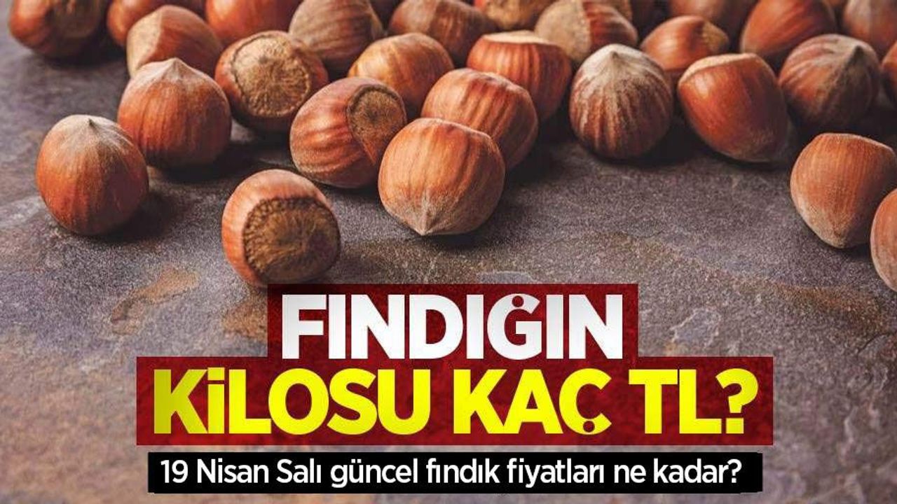 Fındığın kilosu kaç TL? 19 Nisan Çarşamba fındık fiyatları ne kadar oldu?