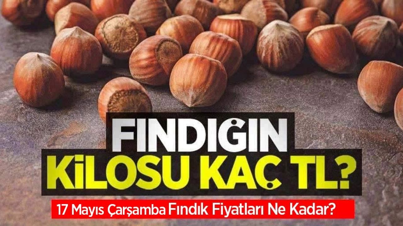 Fındığın kilosu kaç TL? 17 Mayıs Salı fındık fiyatları ne kadar oldu?