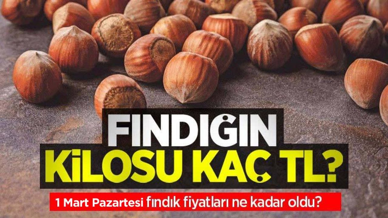 Fındığın kilosu kaç TL? 1 Mayıs Pazartesi fındık fiyatları ne kadar oldu?