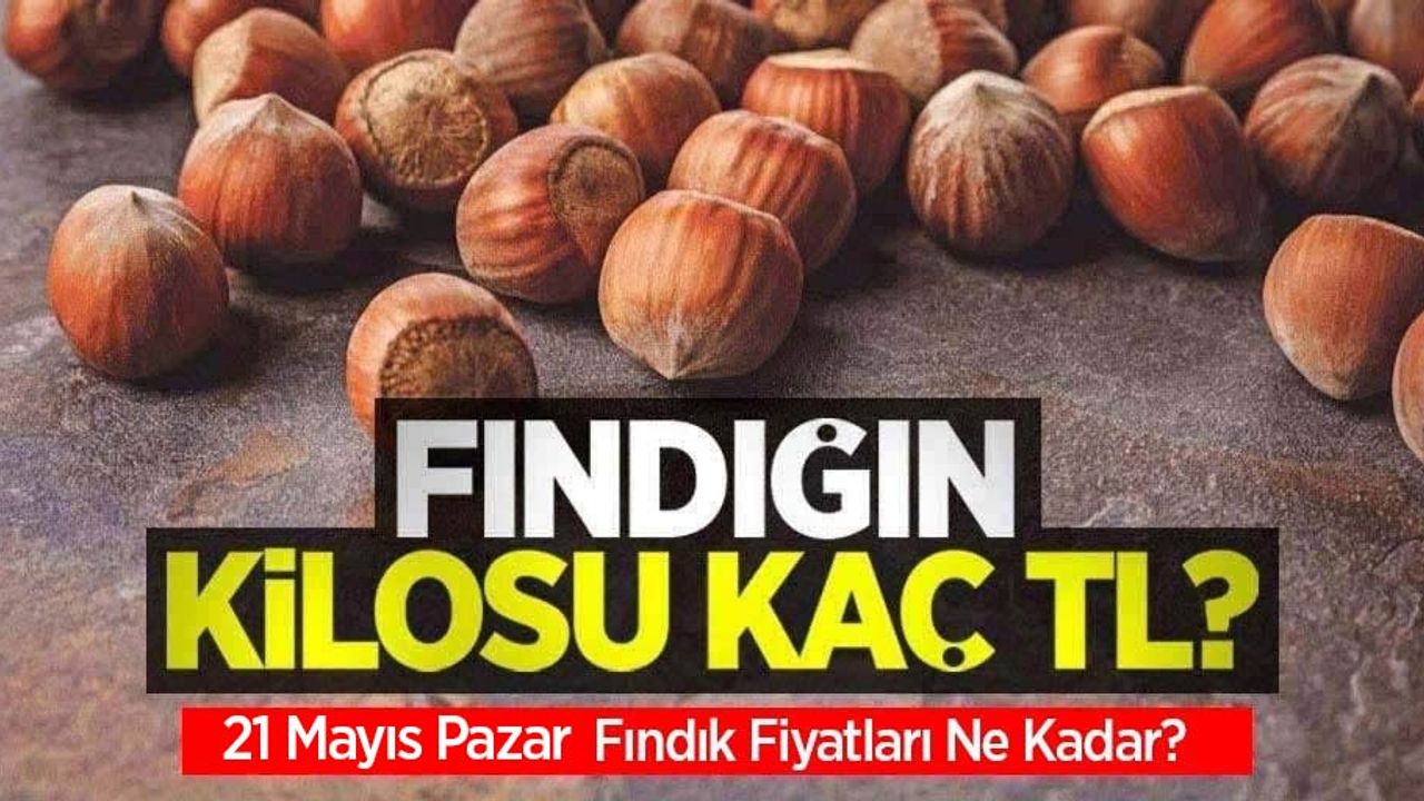 Fındığın kilosu kaç TL? 21 Mayıs Pazar fındık fiyatları ne kadar oldu?