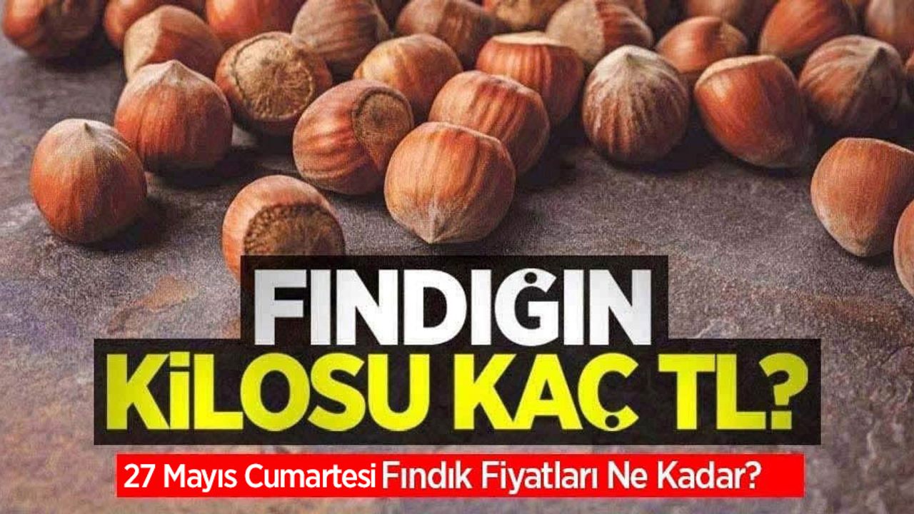 Fındığın kilosu kaç TL? 27 Mayıs Cumartesi fındık fiyatları ne kadar oldu?