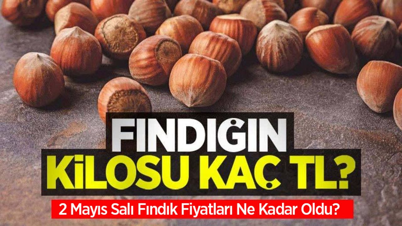 Fındığın kilosu kaç TL? 2 Mayıs Salı fındık fiyatları ne kadar oldu?