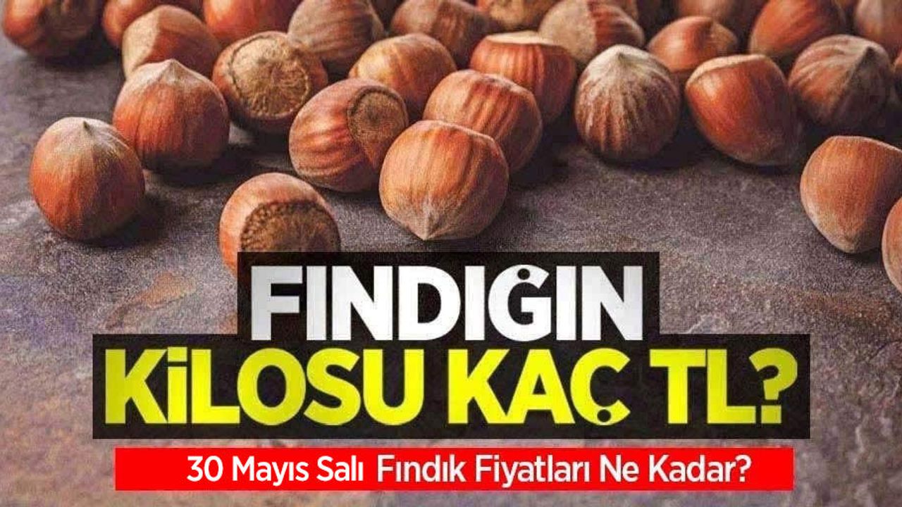 Fındığın kilosu kaç TL? 30 Mayıs Salı fındık fiyatları ne kadar oldu?