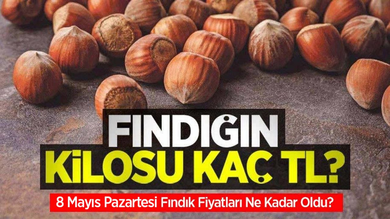 Fındığın kilosu kaç TL? 8 Mayıs Pazartesi fındık fiyatları ne kadar oldu?