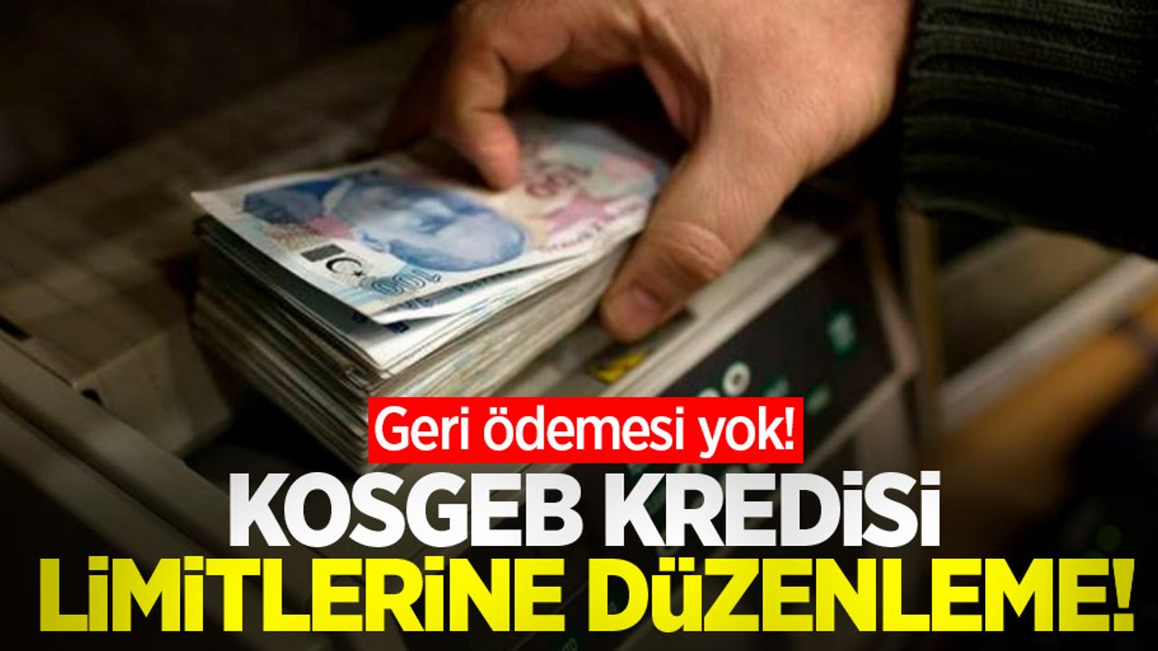 Geri ödemesi yok! KOSGEB kredisi limitlerine düzenleme!