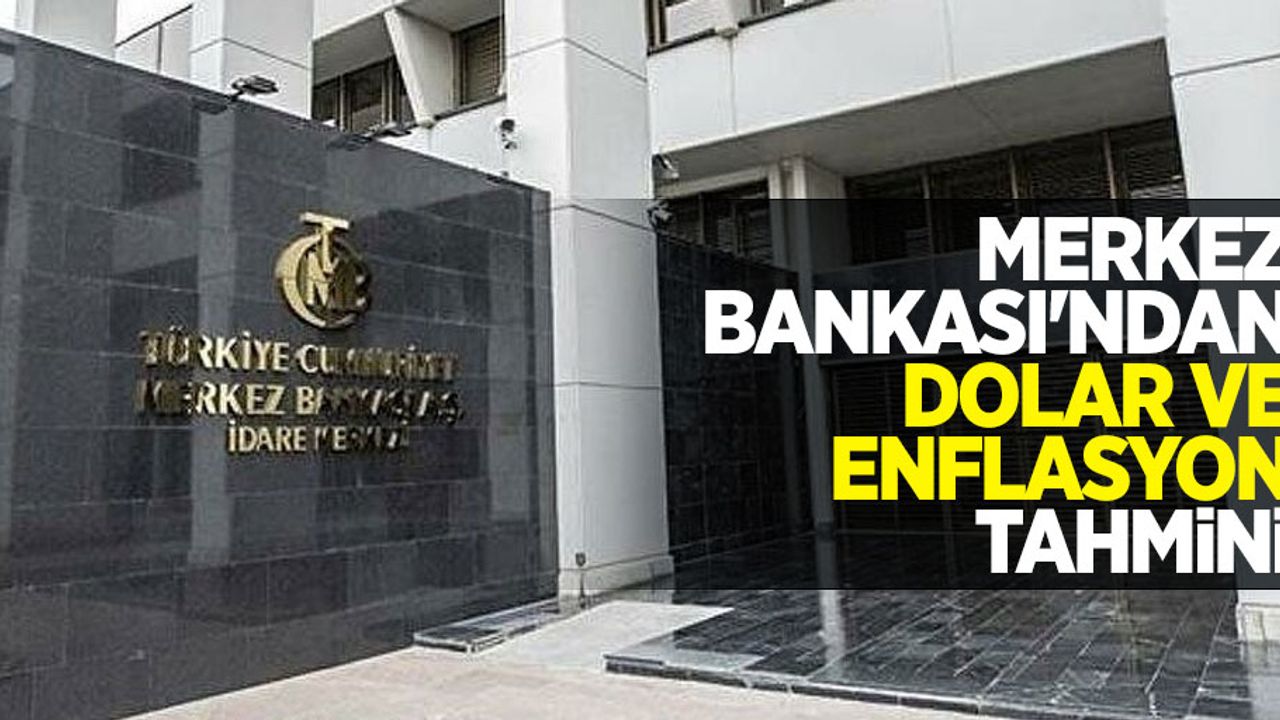 Merkez Bankası'ndan dolar ve enflasyon tahmini