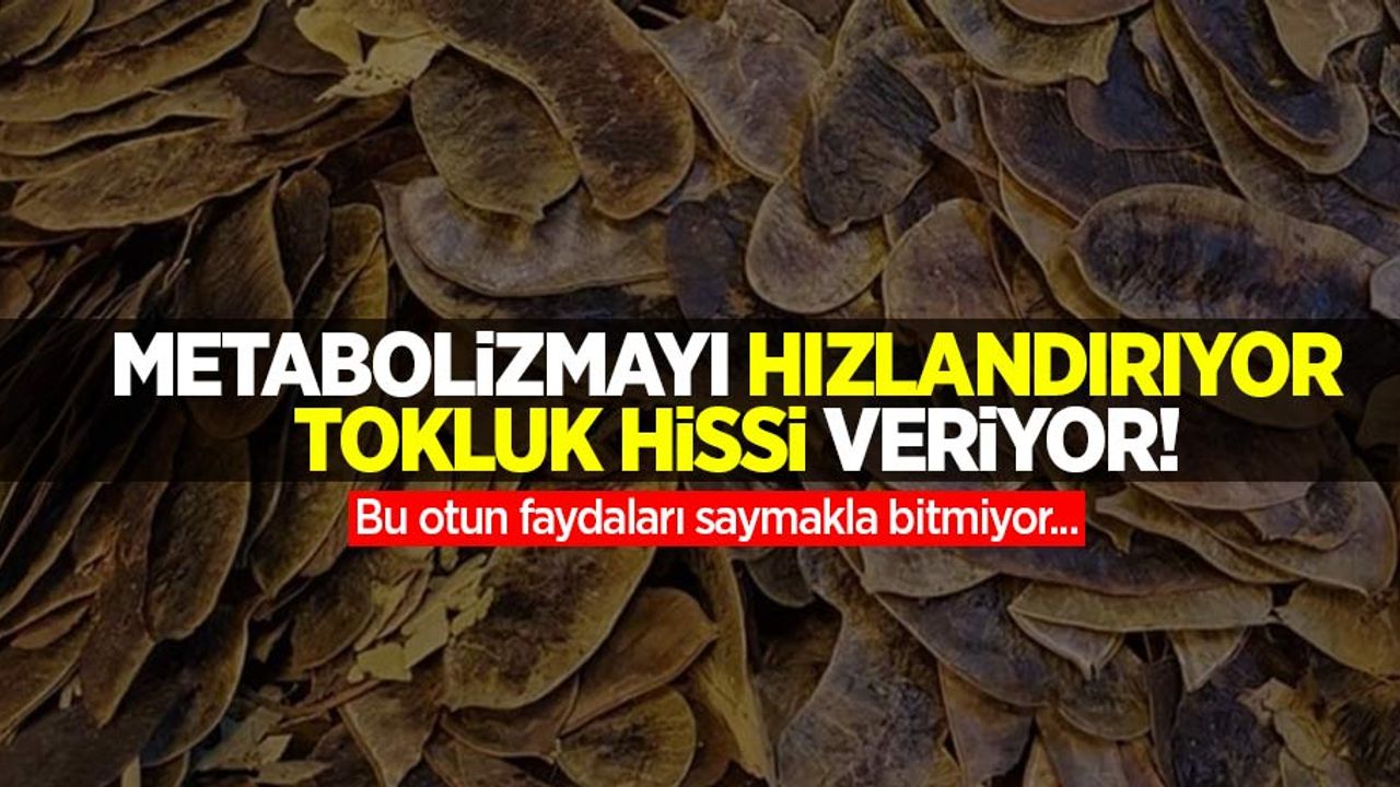 Metabolizmayı hızlandırıyor, tokluk hissi veriyor! Bu otun faydaları saymakla bitmiyor...