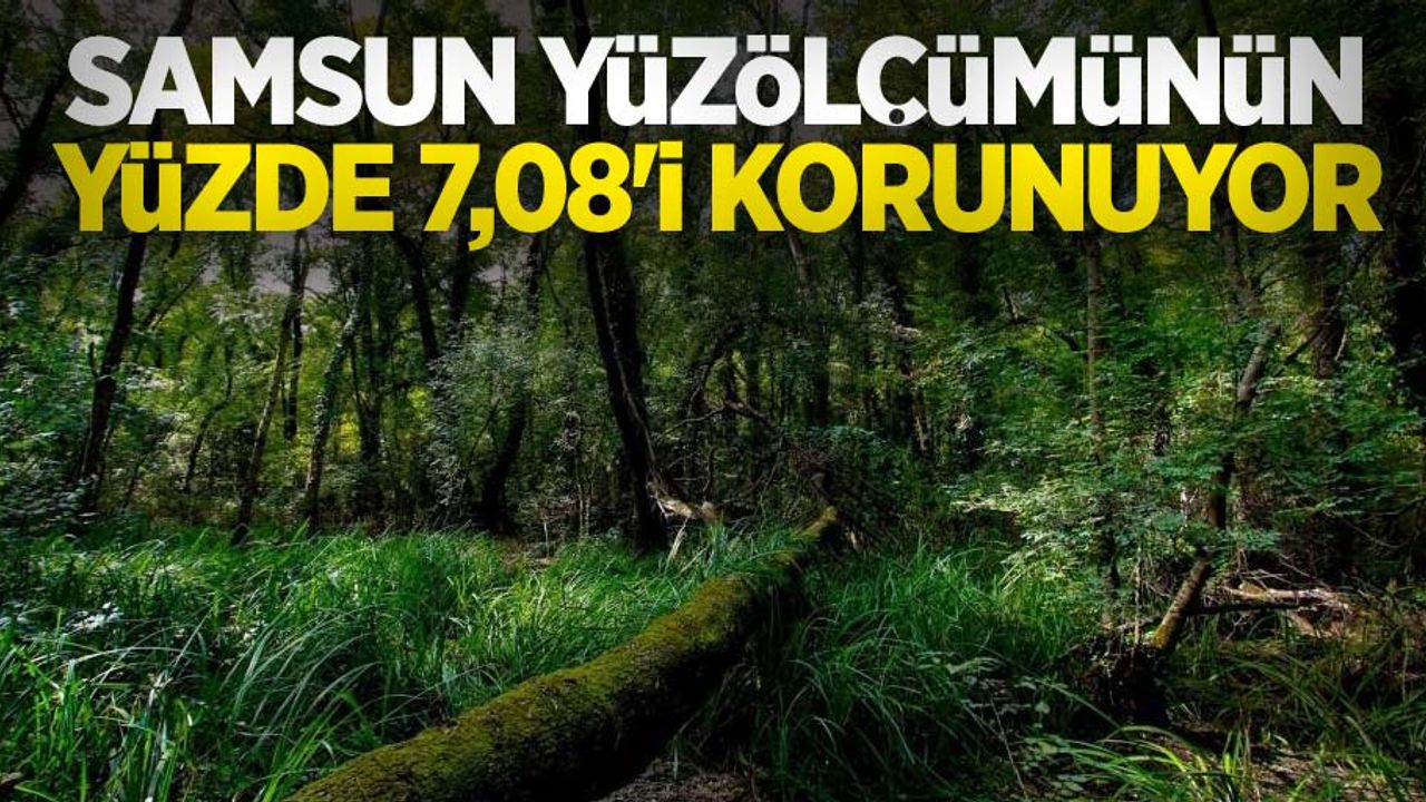 Samsun yüzölçümünün yüzde 7,08’i korunuyor