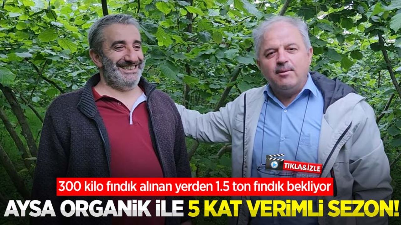 Aysa Organik ile 5 kat verimli sezon! 300 kilo fındık alınan yerden 1.5 ton fındık bekliyor
