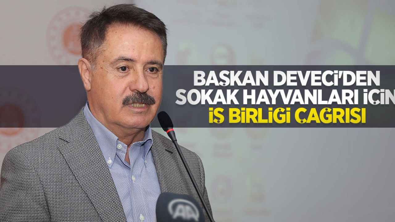 Başkan Deveci’den sokak hayvanları için iş birliği çağrısı 