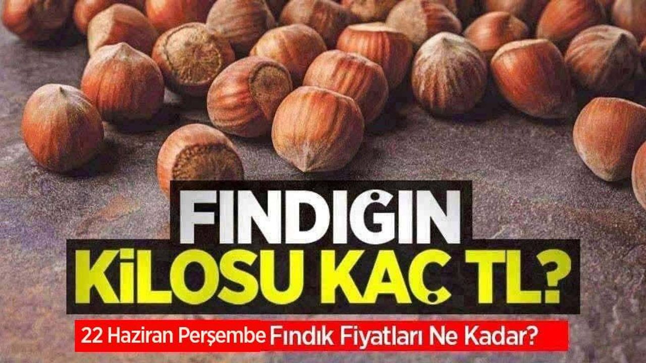 Fındığın kilosu kaç TL? 22 Haziran Perşembe fındık fiyatları ne kadar oldu?