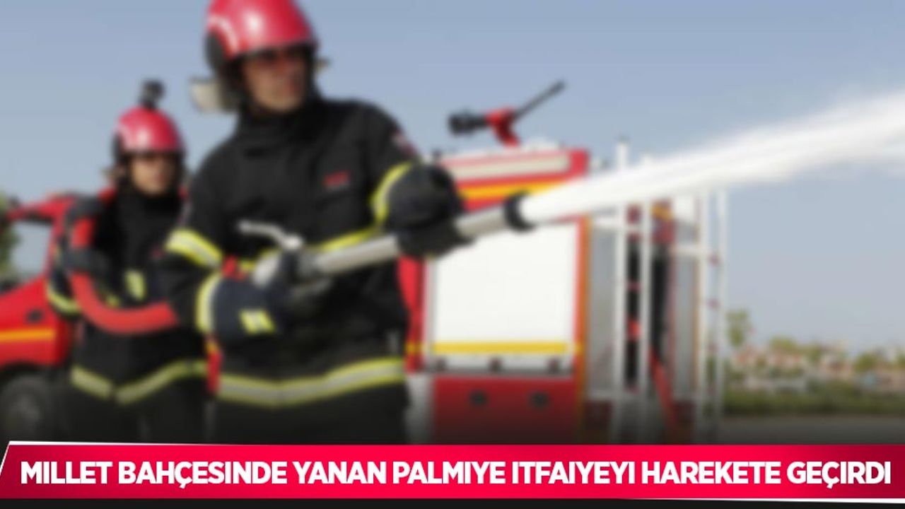 Millet bahçesinde yanan palmiye itfaiyeyi harekete geçirdi