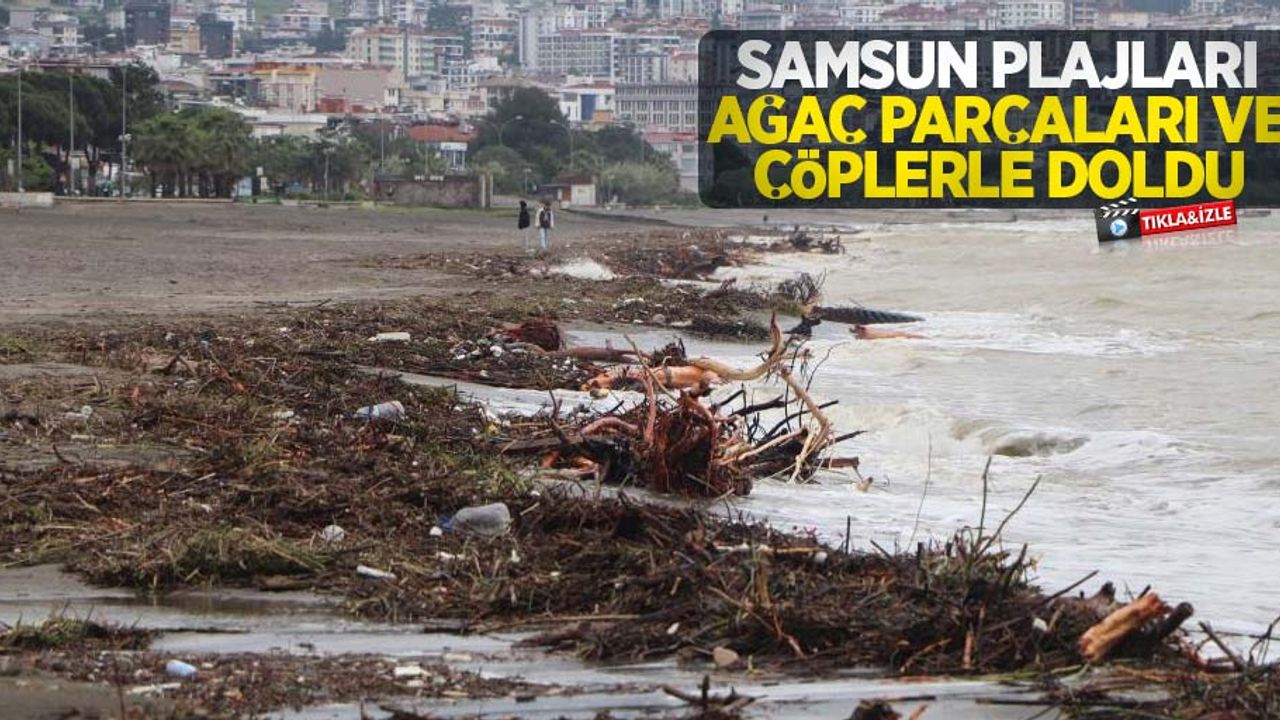 Samsun plajları ağaç parçaları ve çöplerle doldu