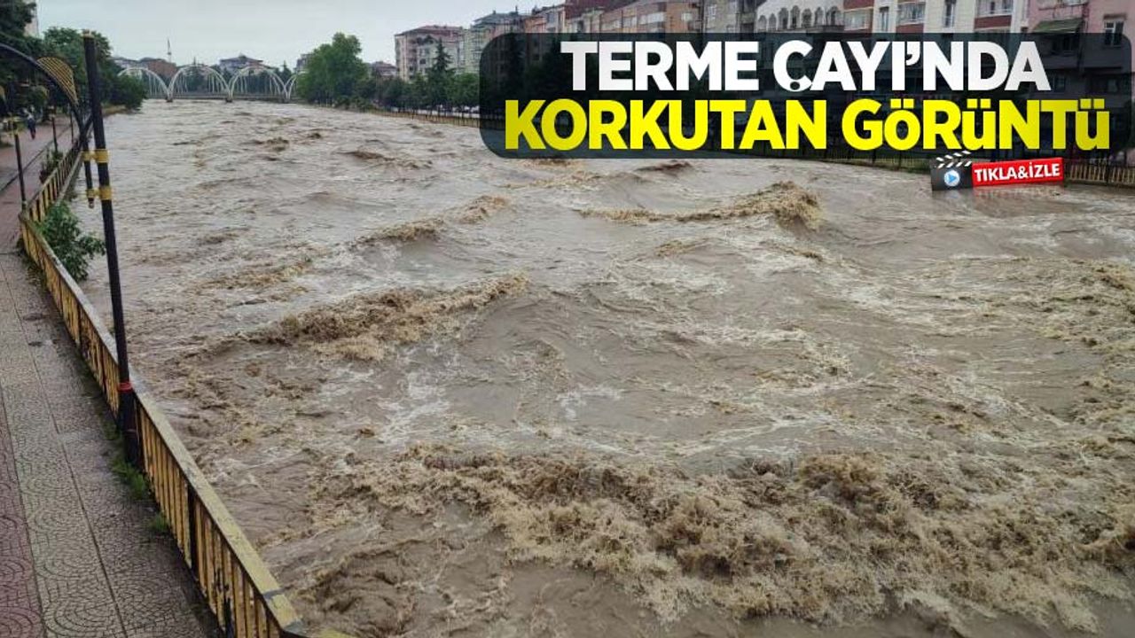 Terme Çayı'nda korkutan görüntü