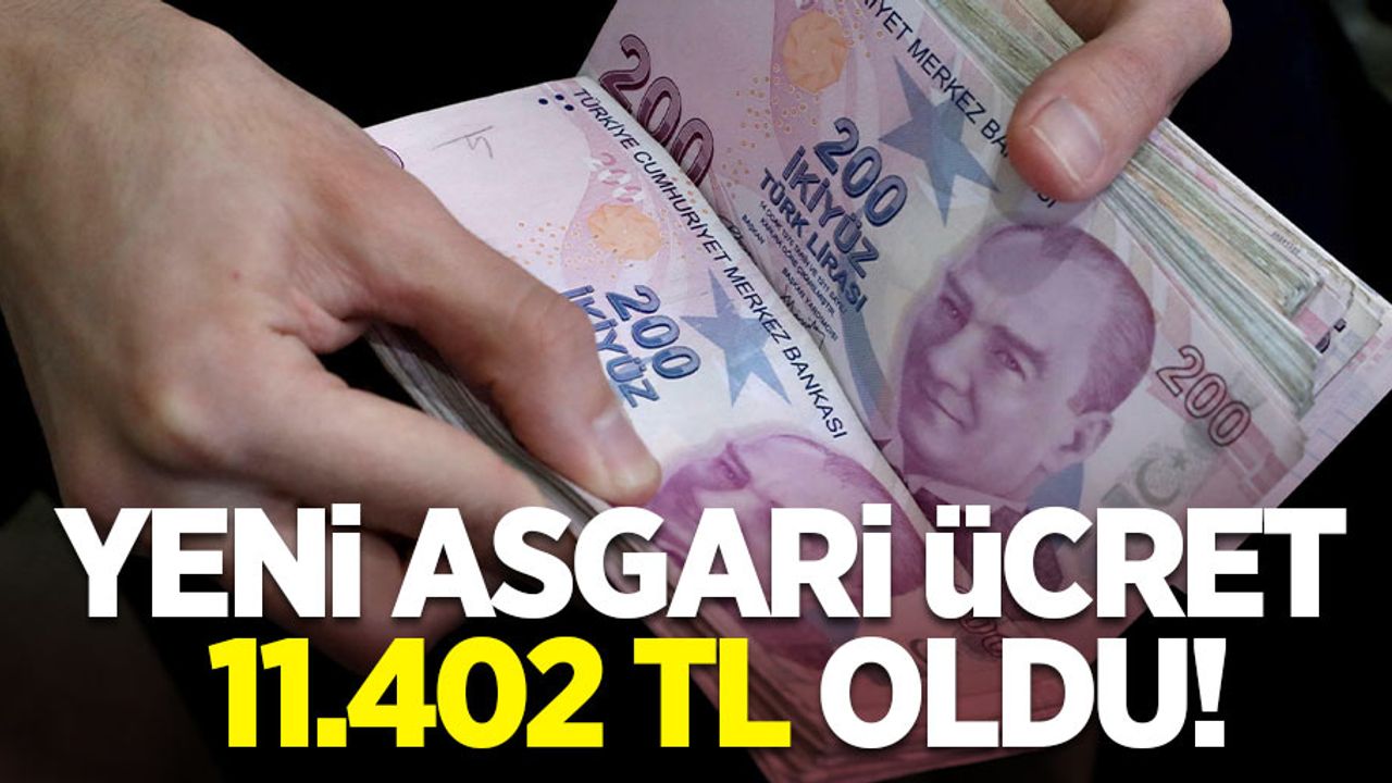 Yeni asgari ücret 11.402 TL oldu!