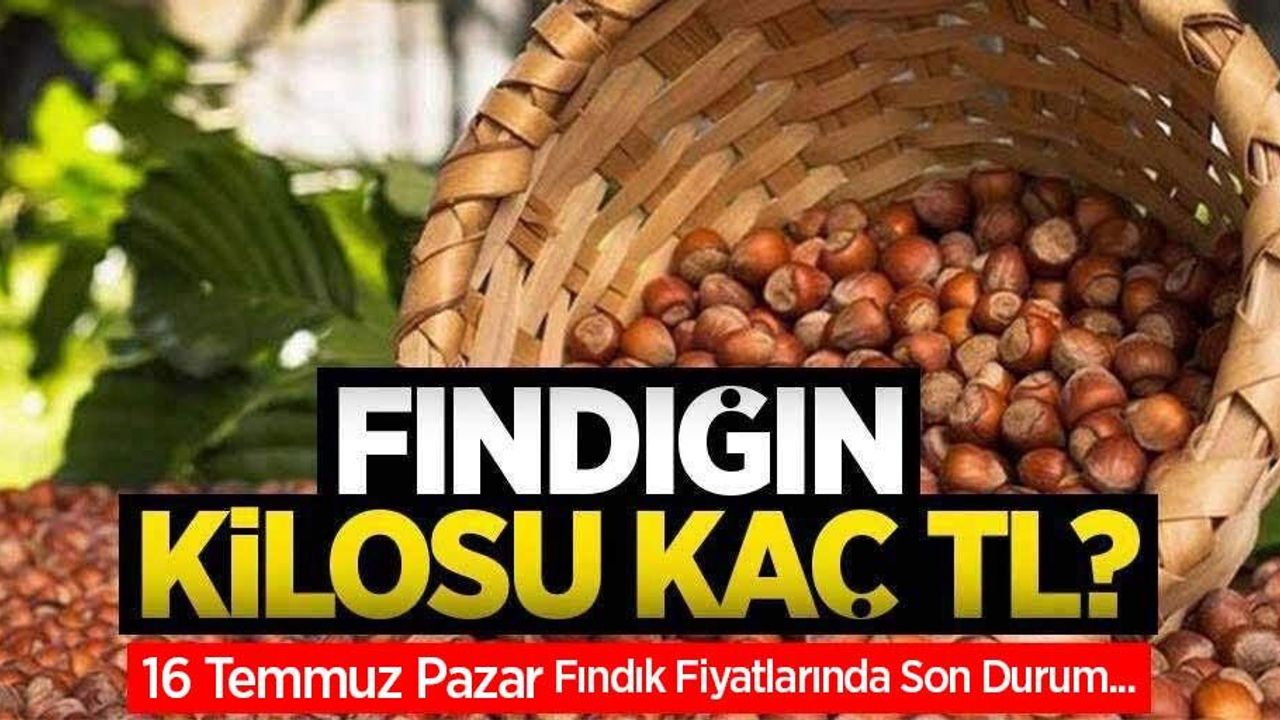 Fındığın kilosu kaç TL? 16 Temmuz Pazar fındık fiyatları ne kadar oldu?