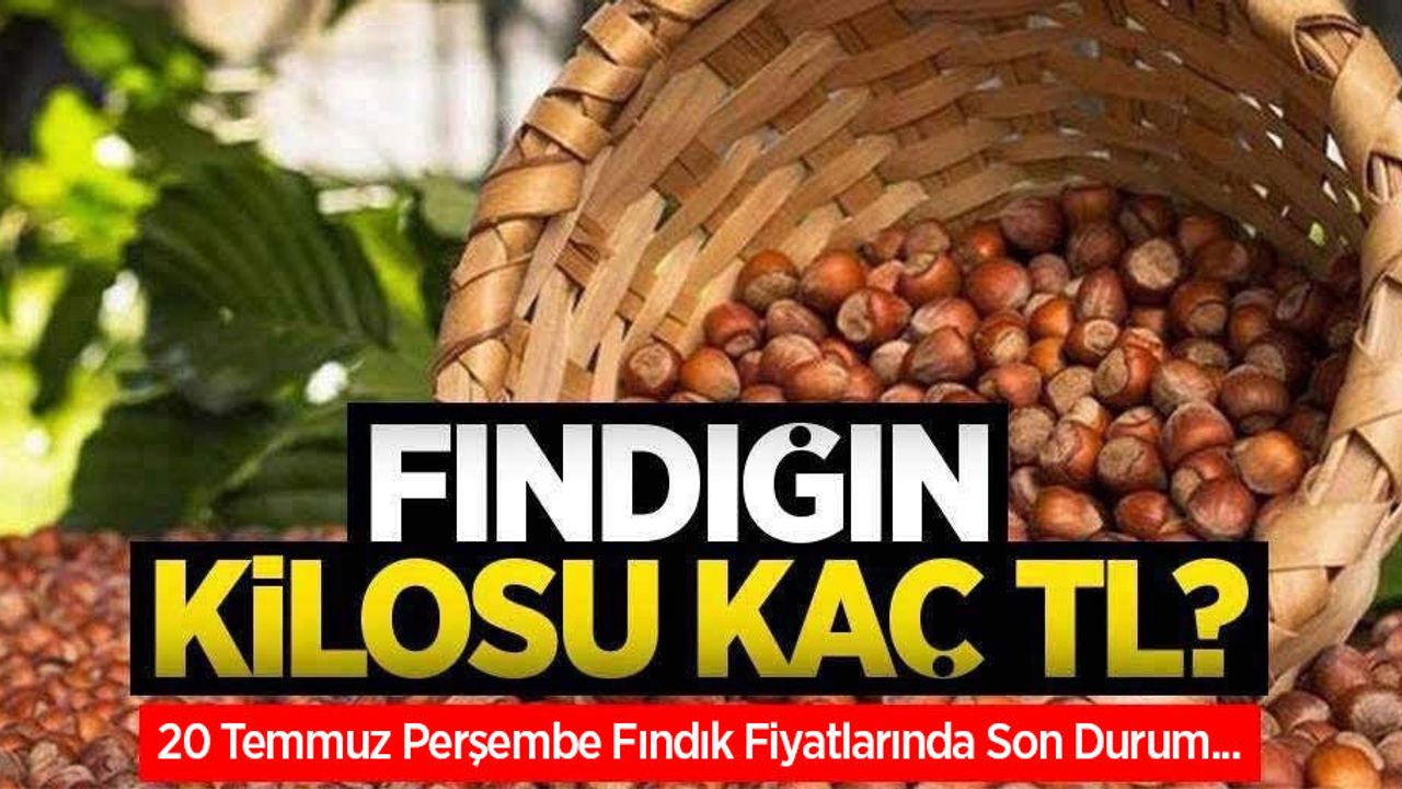 Fındığın kilosu kaç TL? 20 Temmuz Perşembe fındık fiyatları ne kadar oldu?