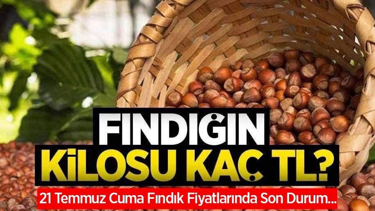 Fındığın kilosu kaç TL? 21 Temmuz Cuma fındık fiyatları ne kadar oldu?