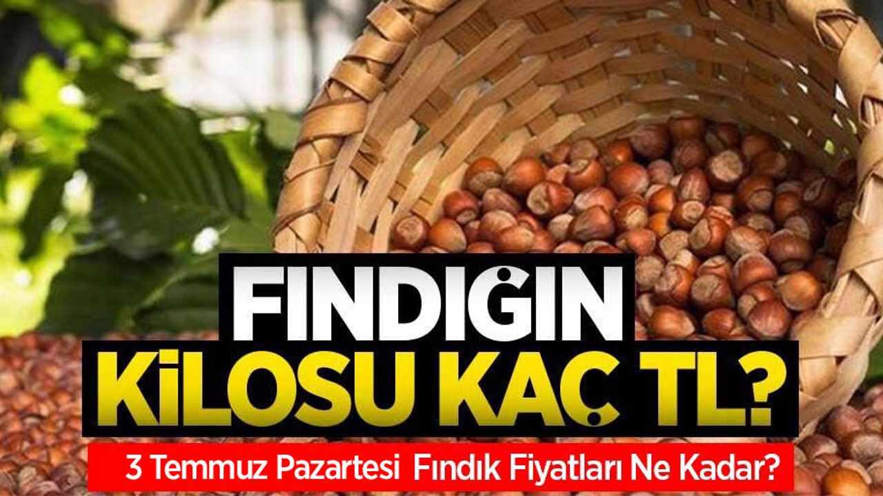 Fındığın kilosu kaç TL? 3 Temmuz Pazartesi fındık fiyatları ne kadar oldu?
