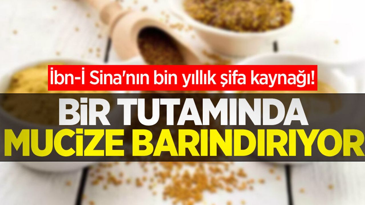 İbn-İ Sina'nın bin yıllık şifa kaynağı! Bir tutamında mucize barındırıyor