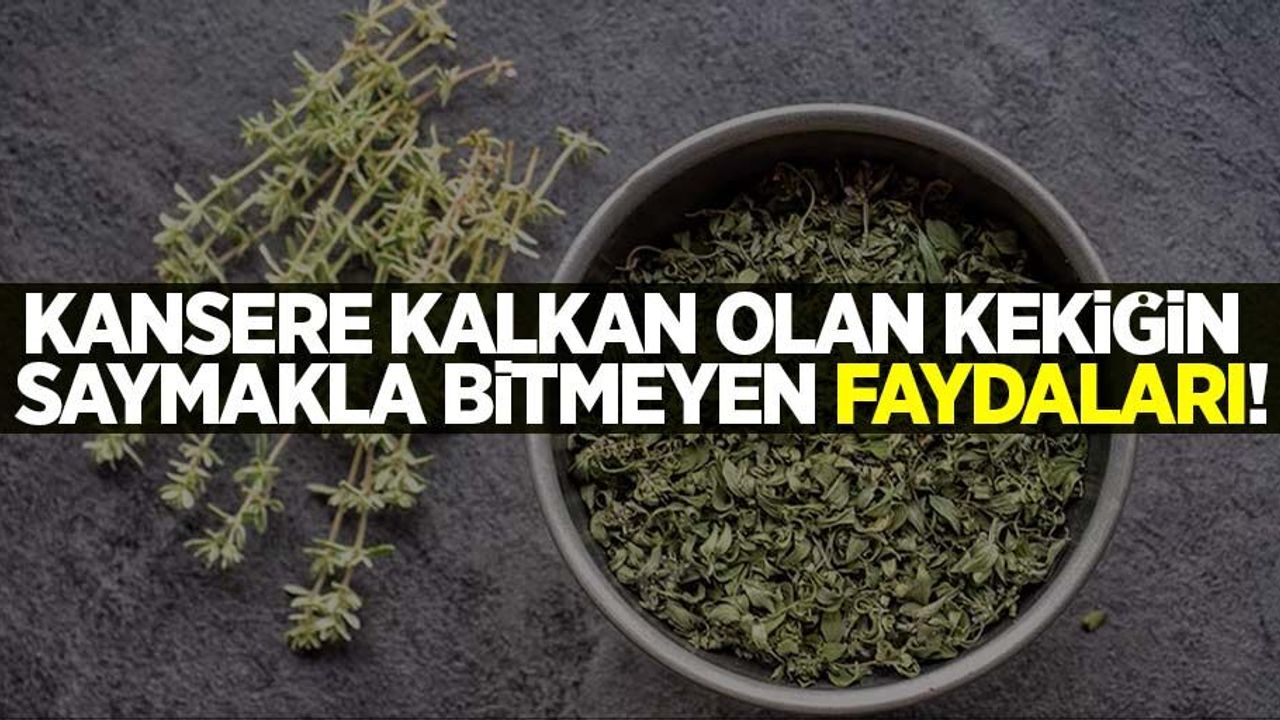 Kansere kalkan olan kekiğin saymakla bitmeyen faydaları!
