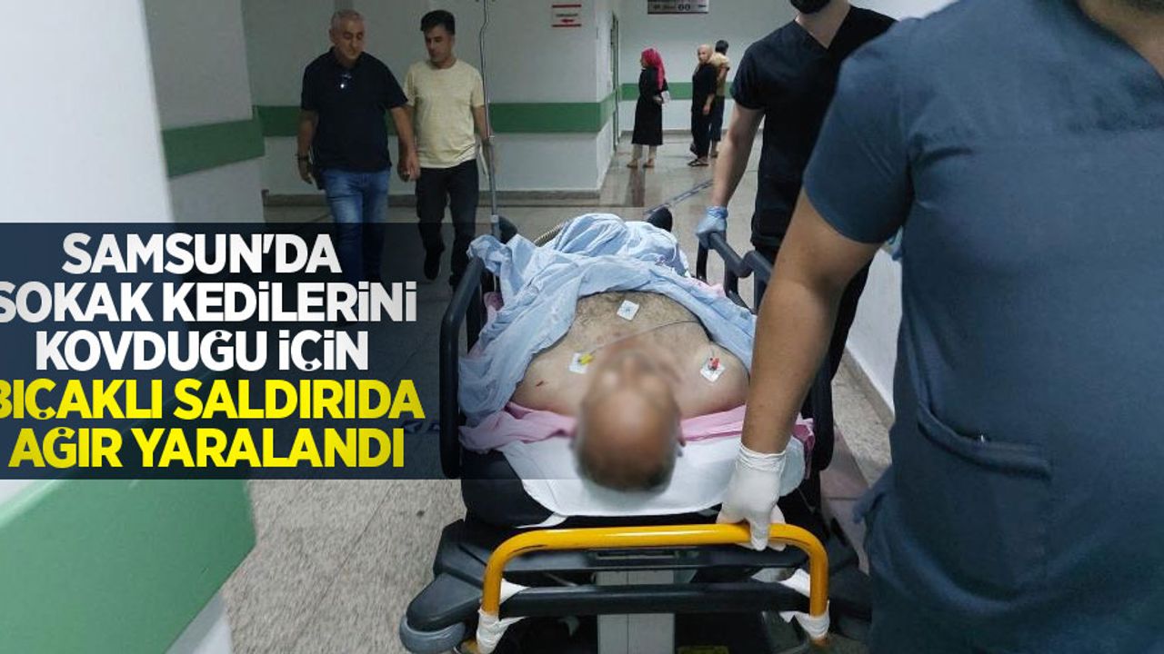 Samsun'da sokak kedilerini kovduğu için bıçaklı saldırıda ağır yaralandı