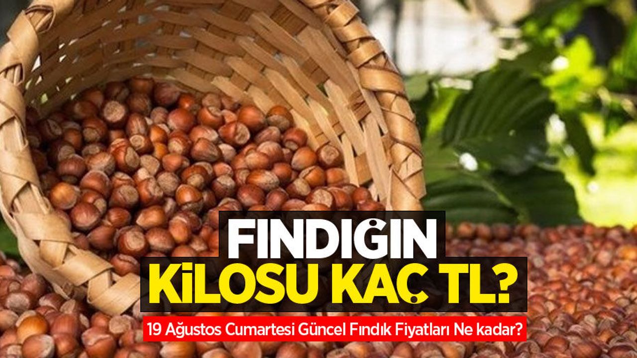 Fındığın kilosu kaç TL? 19 Ağustos Cumartesi fındık fiyatları ne kadar oldu?