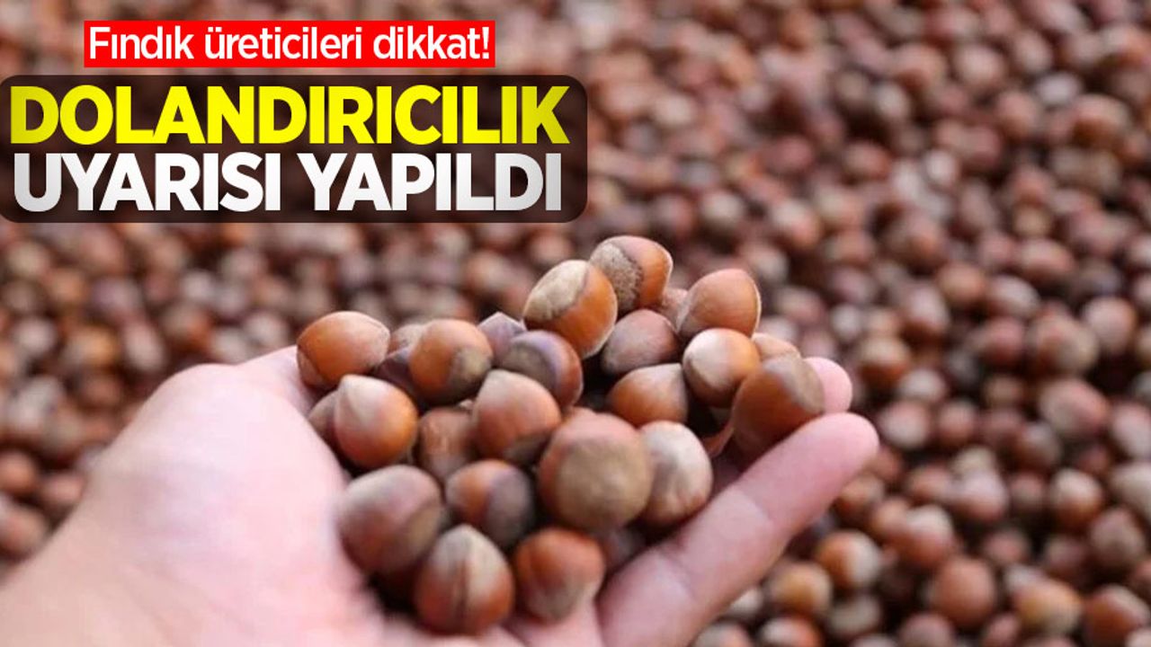 Fındık üreticileri dikkat! Dolandırıcılık uyarısı yapıldı