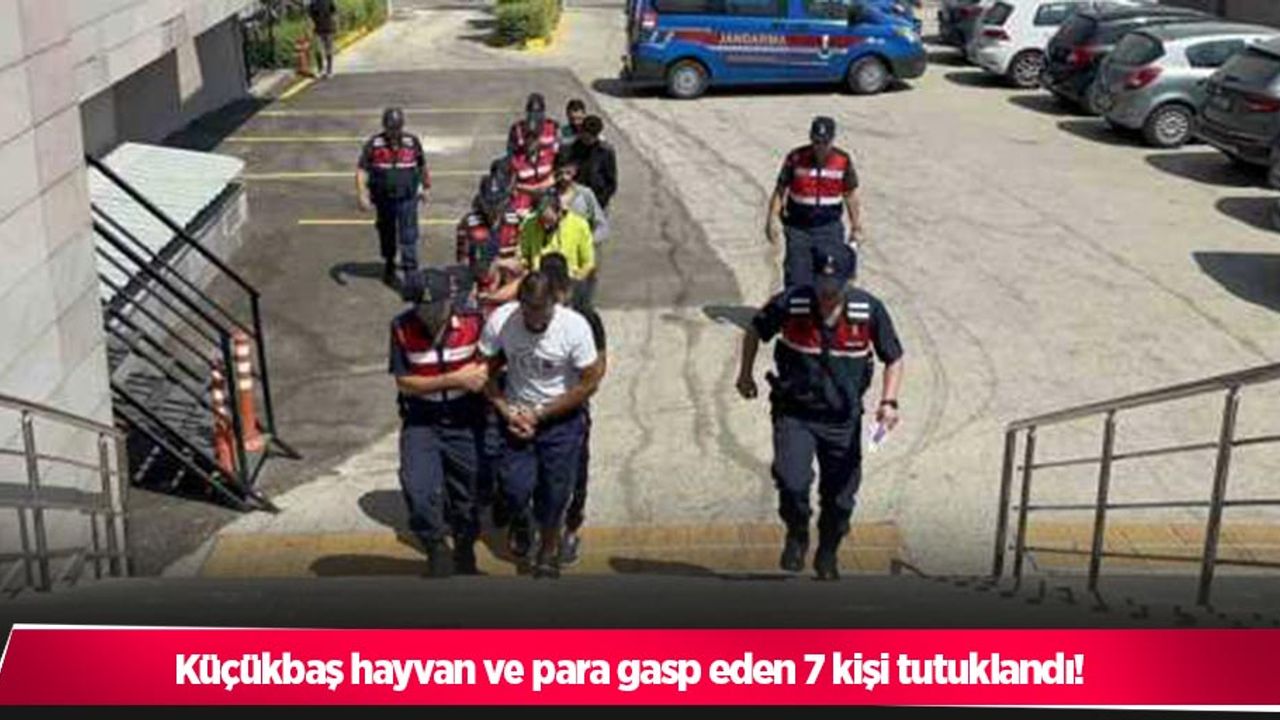 Küçükbaş hayvan ve para gasp eden 7 kişi tutuklandı!