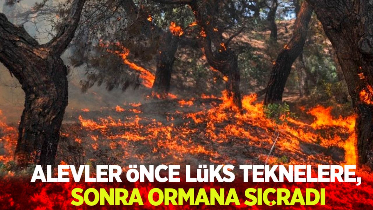 Alevler önce lüks teknelere sonra ormana sıçradı