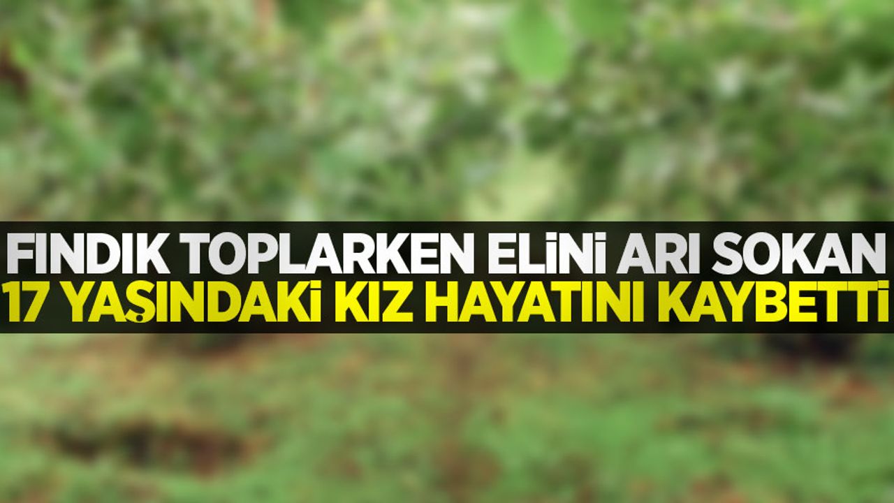 Fındık toplarken elini arı sokan 17 yaşındaki kız hayatını kaybetti