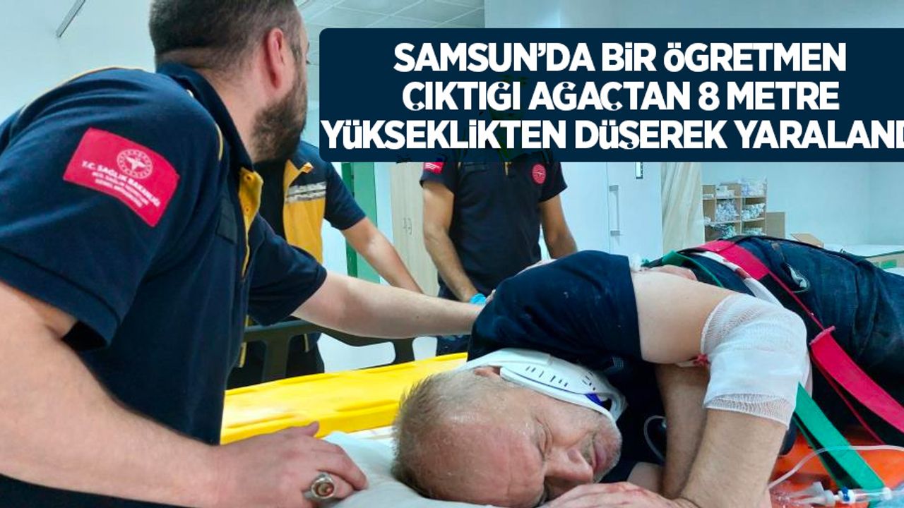 Samsun’da bir öğretmen çıktığı ağaçtan 8 metre yükseklikten düşerek yaralandı