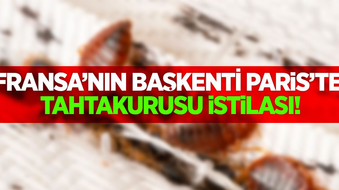 Fransa'nın başkenti Paris'te tahtakurusu istilası!