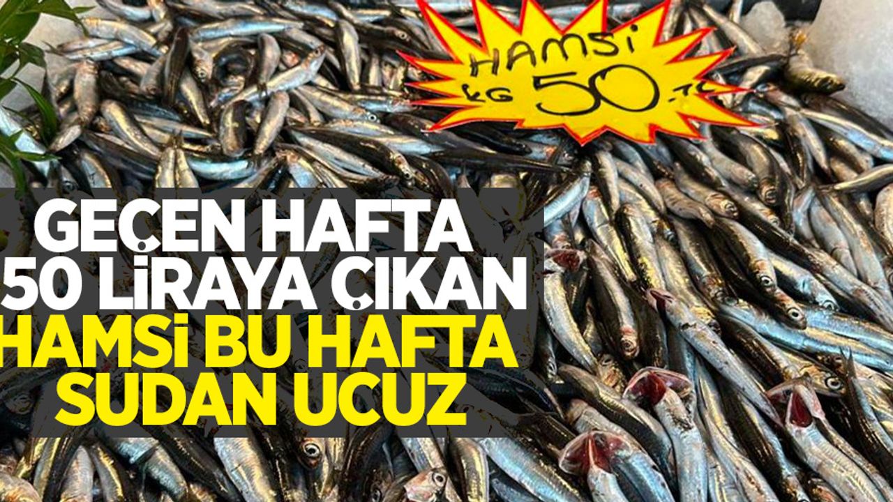 Geçen hafta 150 liraya çıkan hamsi bu hafta sudan ucuz