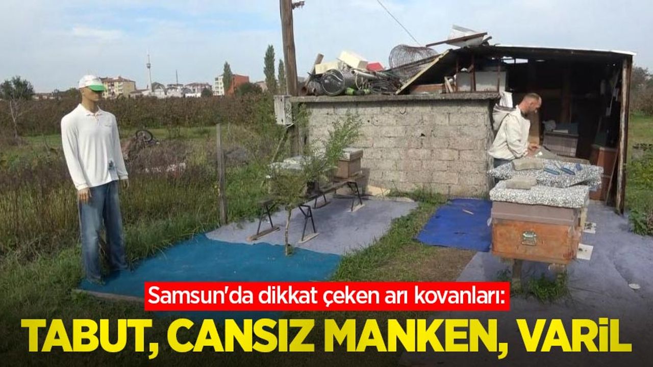 Samsun'da dikkat çeken arı kovanları: Tabut, cansız manken, varil