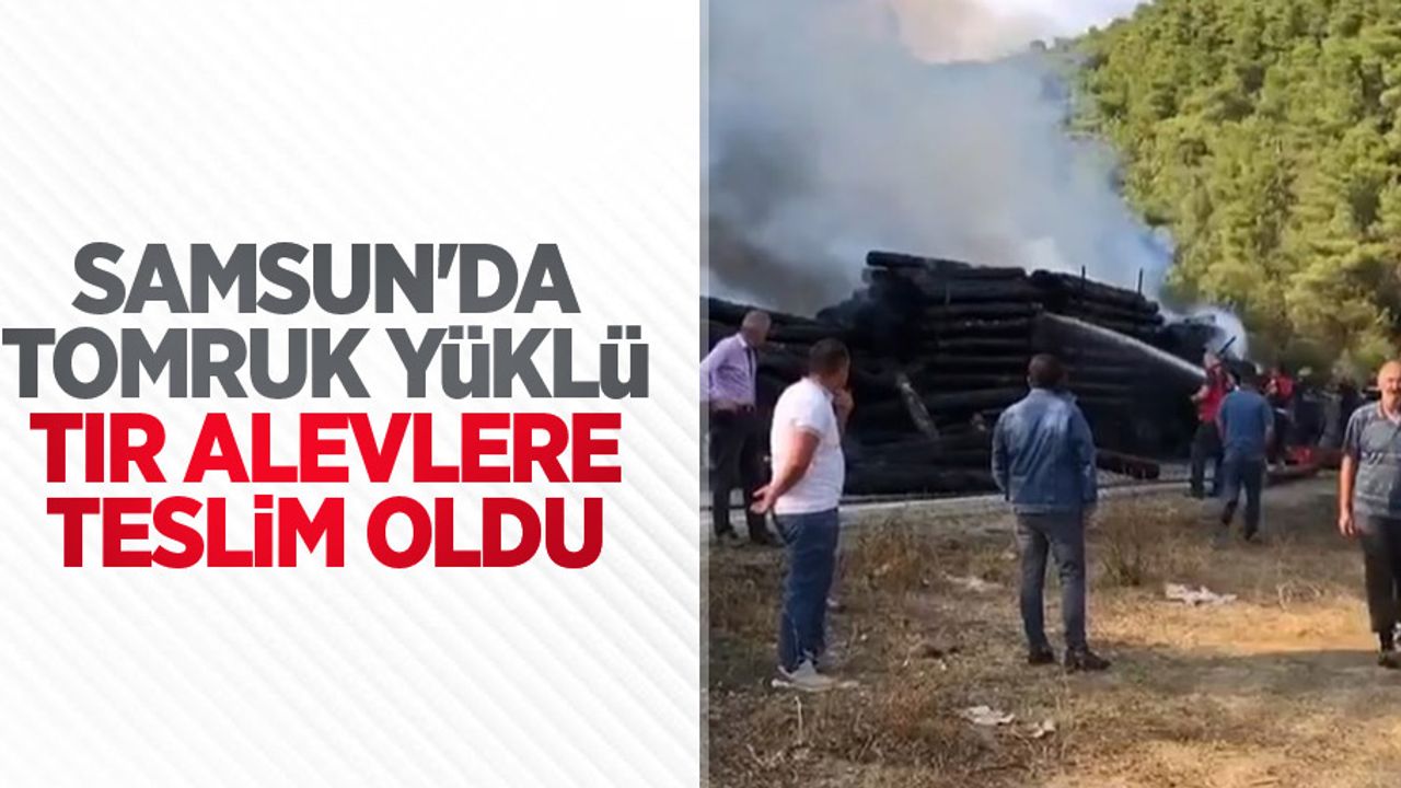 Samsun'da tomruk yüklü tır alevlere teslim oldu