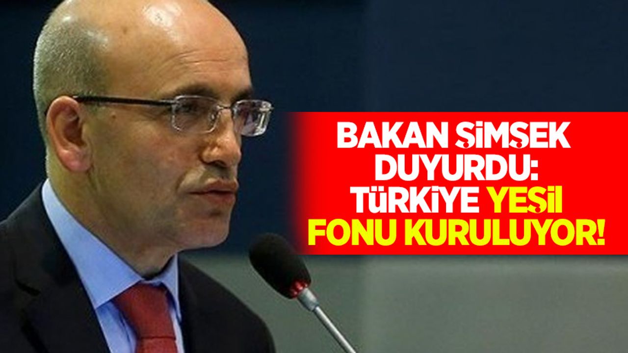 Bakan şimşek duyurdu: Türkiye yeşil fonu kuruluyor!