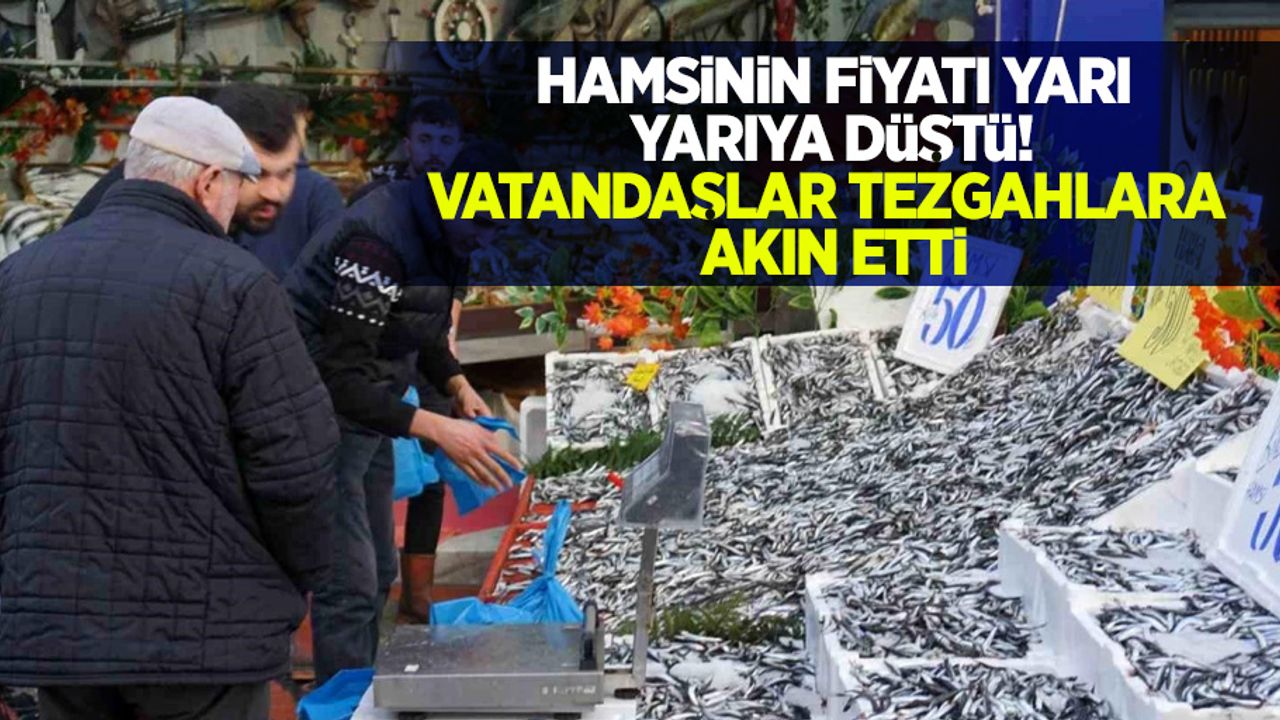 Hamsinin fiyatı yarı yarıya düştü! vatandaşlar tezgahlara akın etti