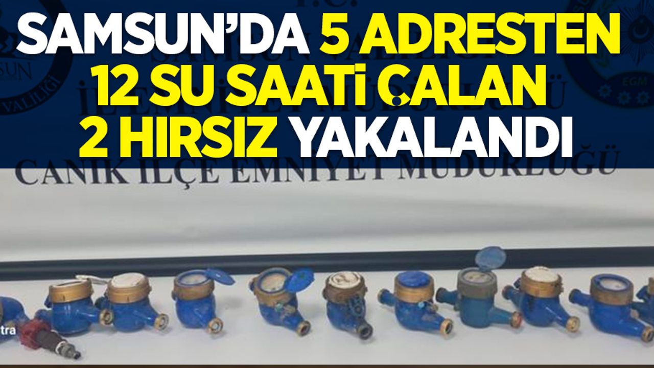 Samsun'da 5 adresten 12 su saati çalan 2 hırsız yakalandı