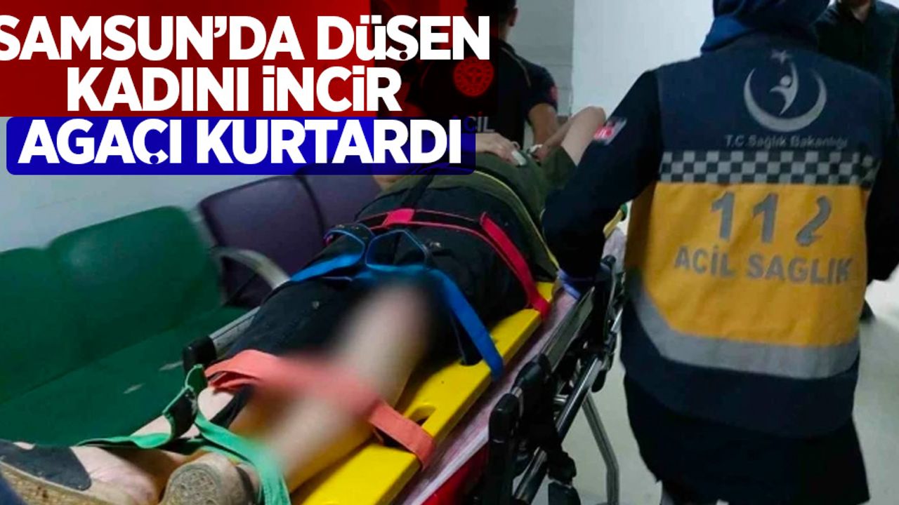 Samsun'da düşen kadını incir ağacını kurtardı